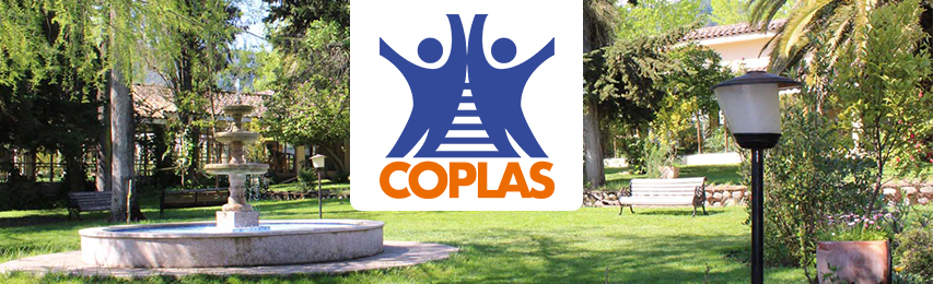 I Jornada de Cohortes Poblacionales Latinoamericanas para el Estudio de Enfermedades Crónicas –COPLAS - Enfermedades…