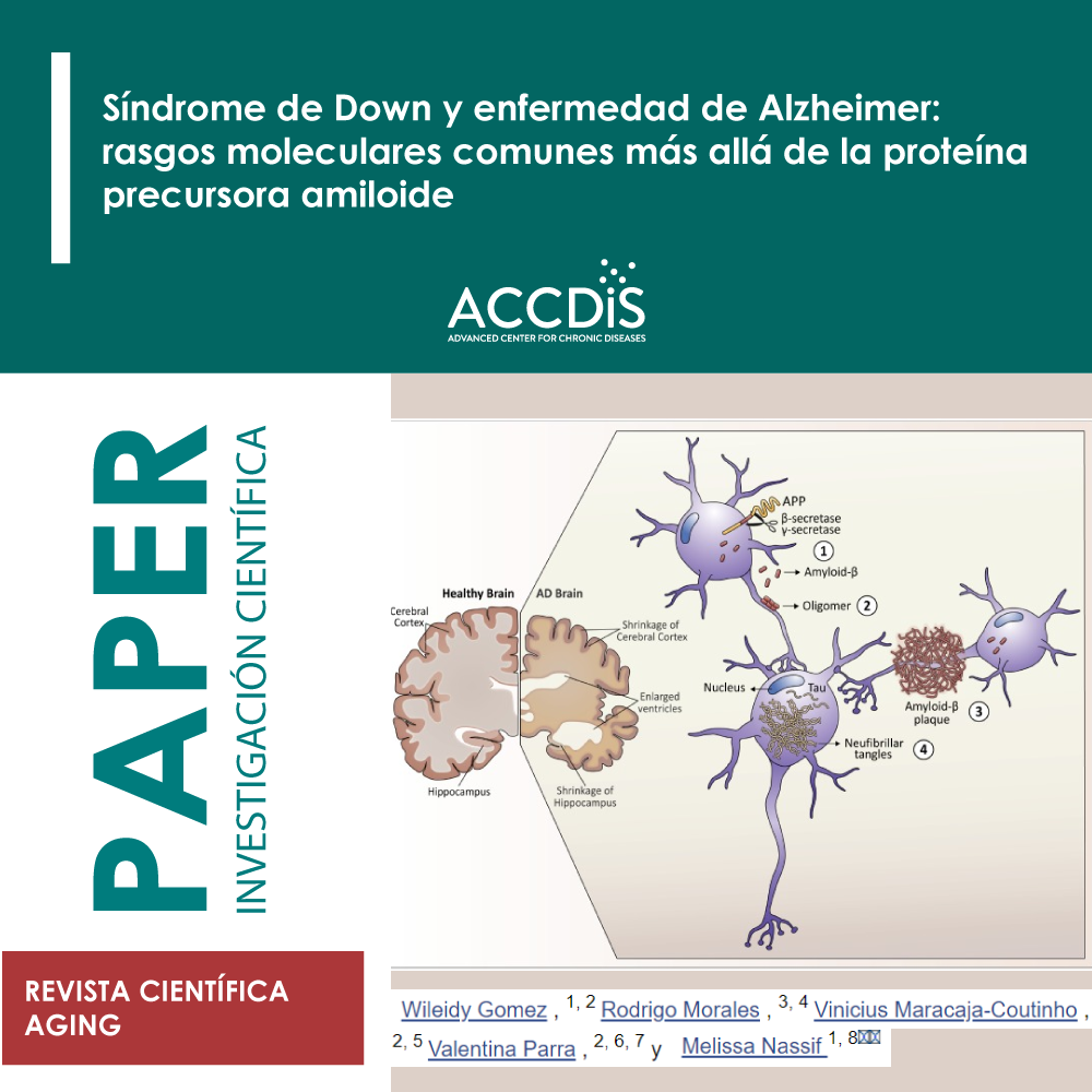 Down syndrome and alzheimer’s disease: Common molecular traits beyond the amyloid precursor protein - Biología…