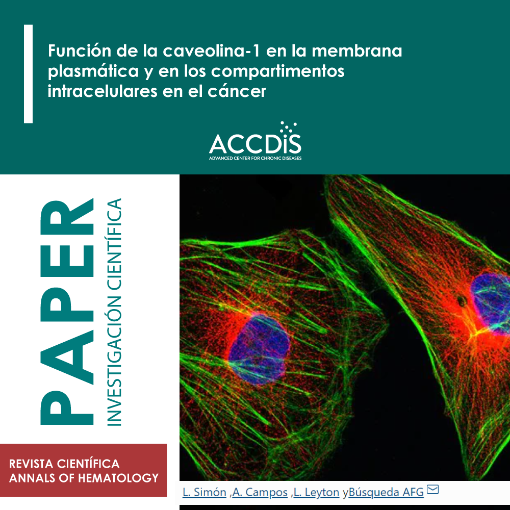 Caveolin-1 function at the plasma membrane and in intracellular compartments in cancer - Cáncer