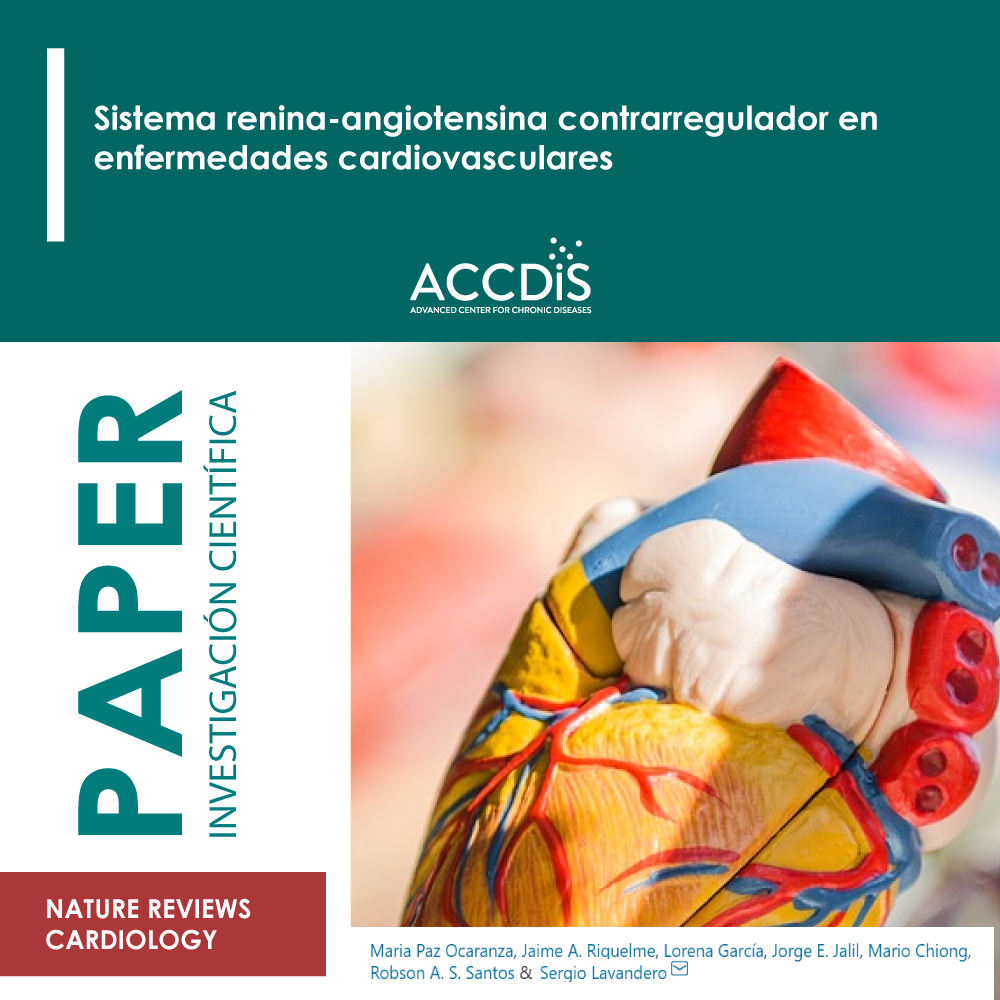 Counter-regulatory renin–angiotensin system in cardiovascular disease - Prevención cardiovascular
