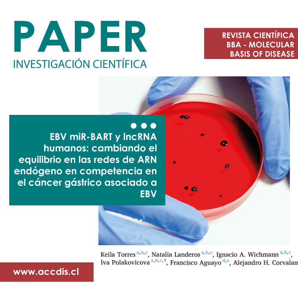 The Chile Biliary Longitudinal Study: A Gallstone Cohort - Ciencia en Chile