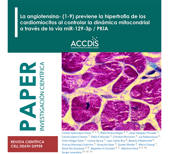 NGF-Enhanced Vasculogenic Properties of Epithelial Ovarian Cancer Cells Is Reduced by Inhibition of the COX-2/PGE2…