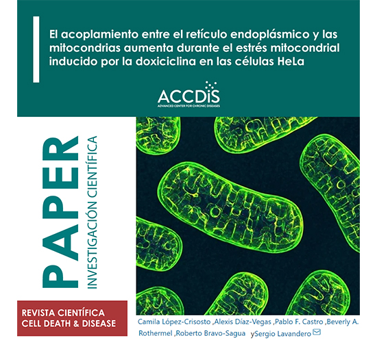 VCAM-1 as a predictor biomarker in cardiovascular disease - Prevención cardiovascular
