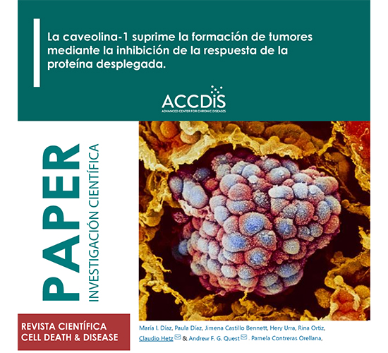 VCAM-1 as a predictor biomarker in cardiovascular disease - Prevención cardiovascular