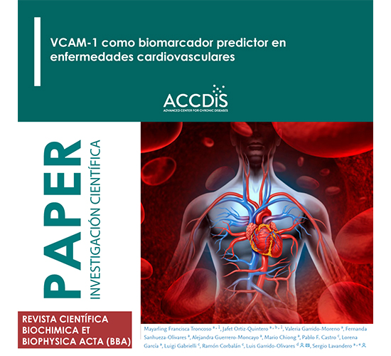 VCAM-1 as a predictor biomarker in cardiovascular disease - Prevención cardiovascular