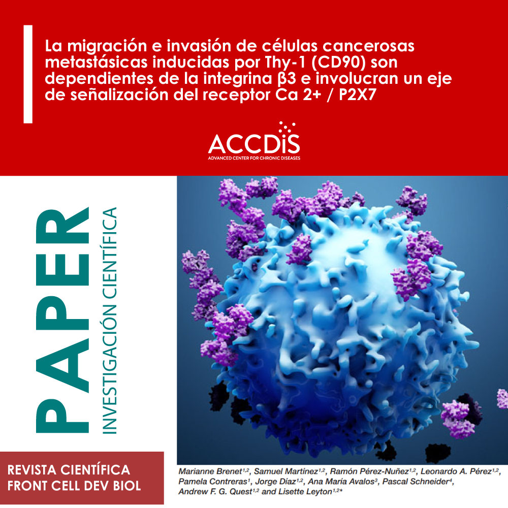 Thy-1 (CD90)-Induced Metastatic Cancer Cell Migration and Invasion Are β3 Integrin-Dependent and Involve a Ca2+/P2X7…