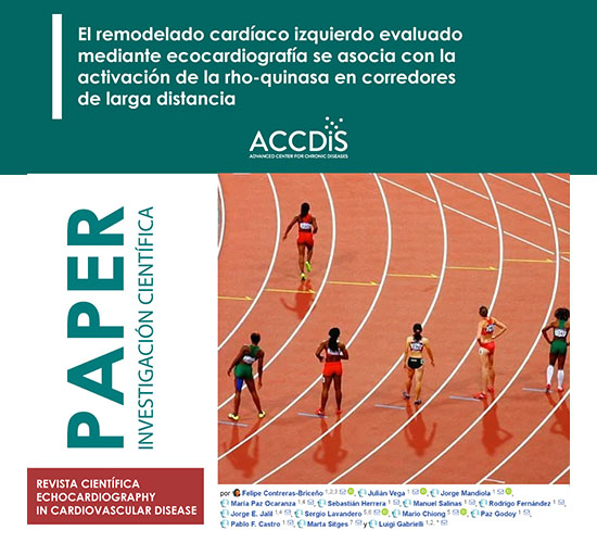 El remodelado cardíaco izquierdo evaluado mediante ecocardiografía se asocia con la activación de la rho-quinasa en…