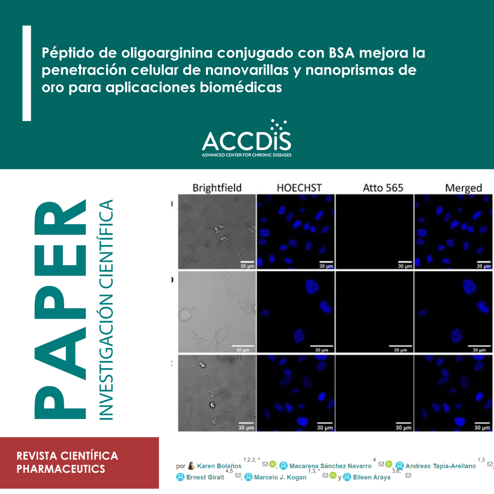 Péptido de oligoarginina conjugado con BSA mejora la penetración celular de nanovarillas y nanoprismas de oro para…