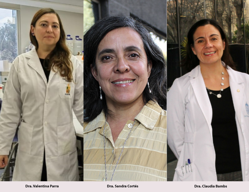 Tres científicas que hacen ciencia para la salud de Chile y Latinoamérica - Salud pública