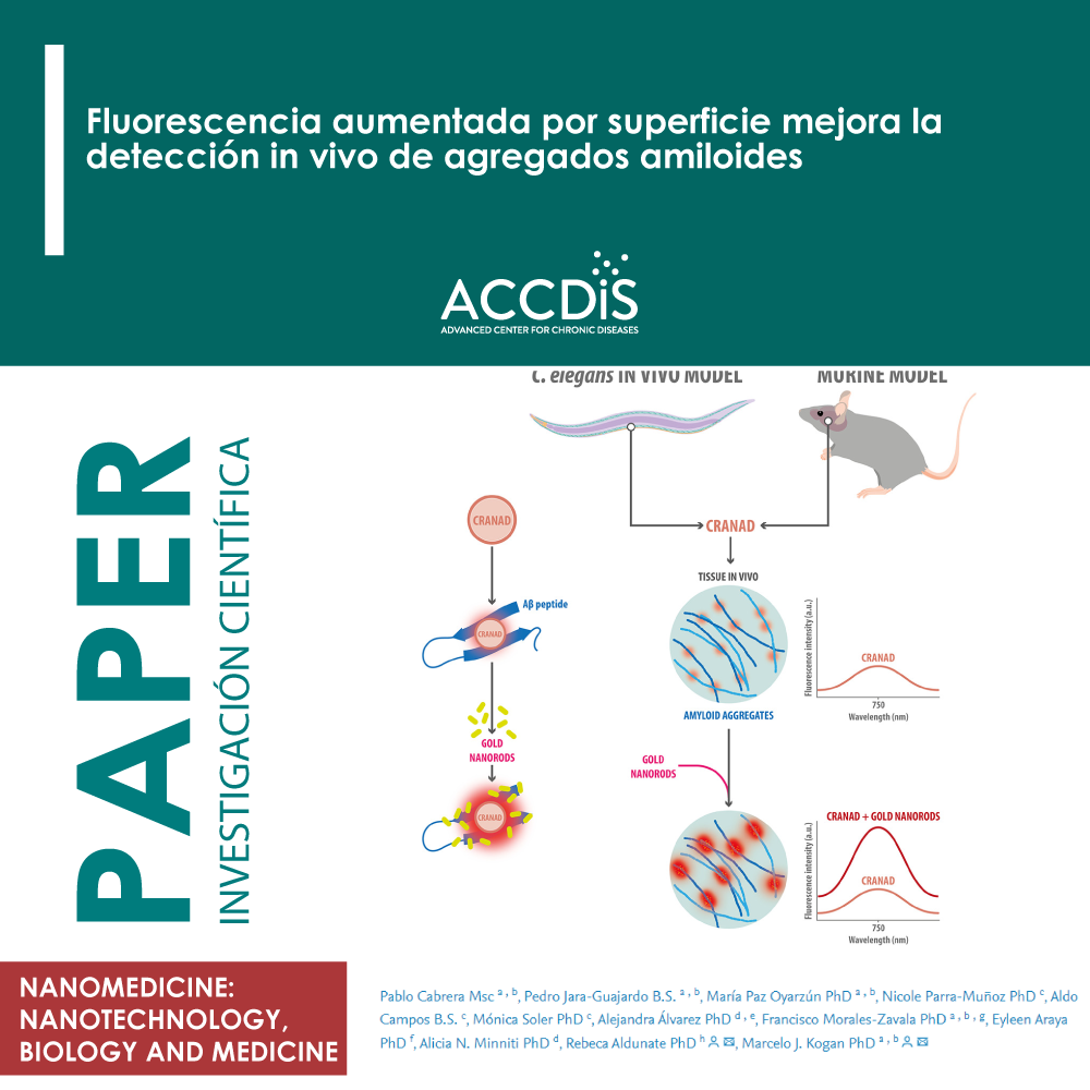 Fluorescencia aumentada por superficie mejora la detección in vivo de agregados amiloides - Proyectos científicos