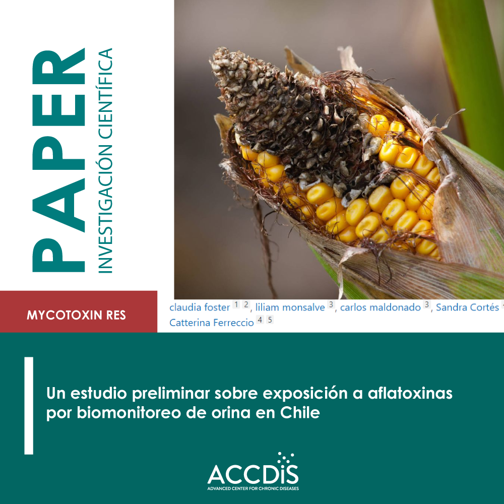 A través de la nutrición y el ejercicio buscan revertir el hígado graso en los chilenos - Salud pública