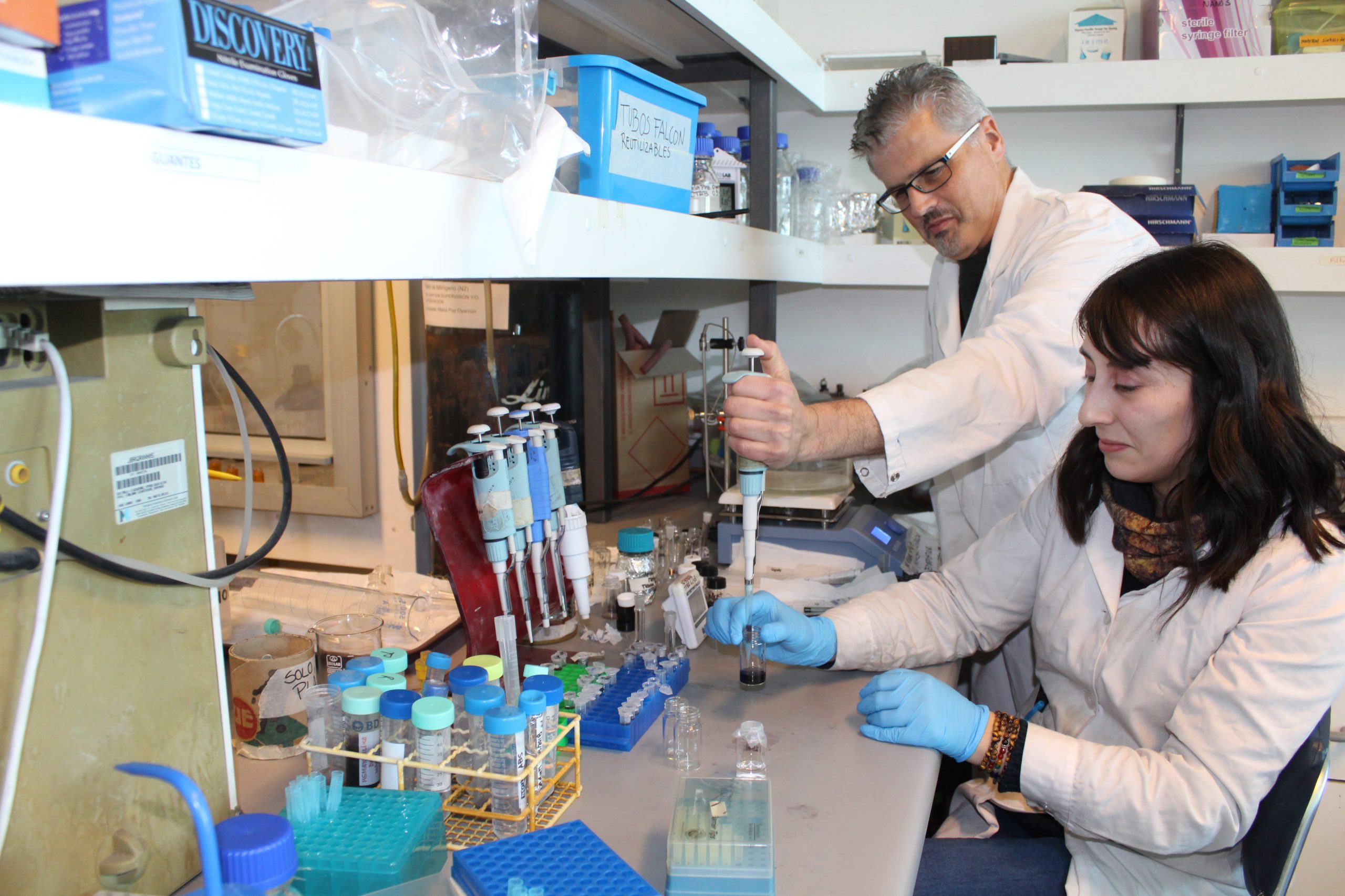 Los nanorods de oro arrojan nueva luz sobre la enfermedad de Alzheimer - Enfermedades crónicas