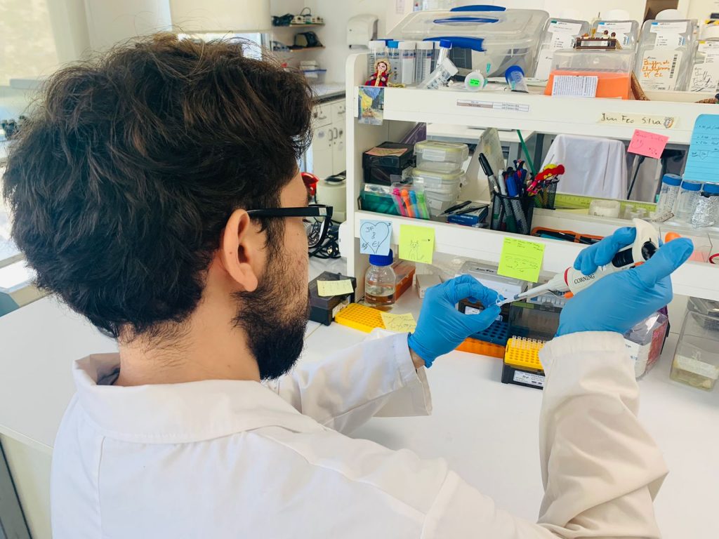 Por tercer año ACCDiS destaca en el Ranking de Instituciones SCImago - Investigación científica