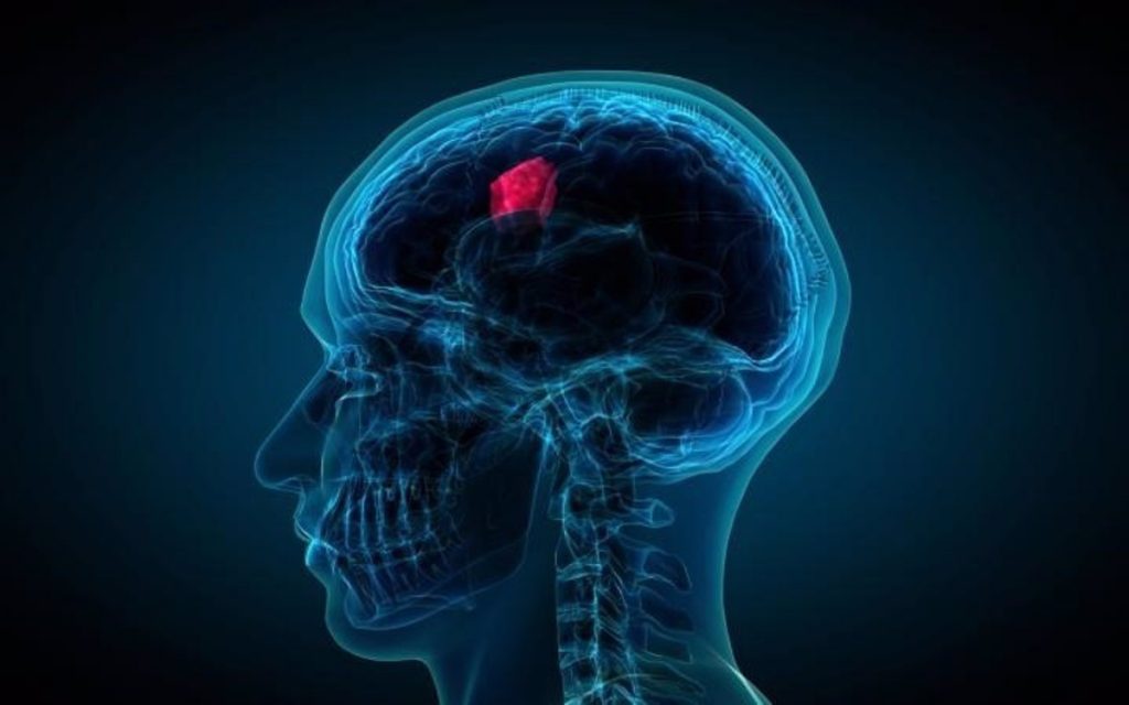 Un chip simula la barrera encefálica del cerebro para probar nuevos fármacos - Enfermedades crónicas