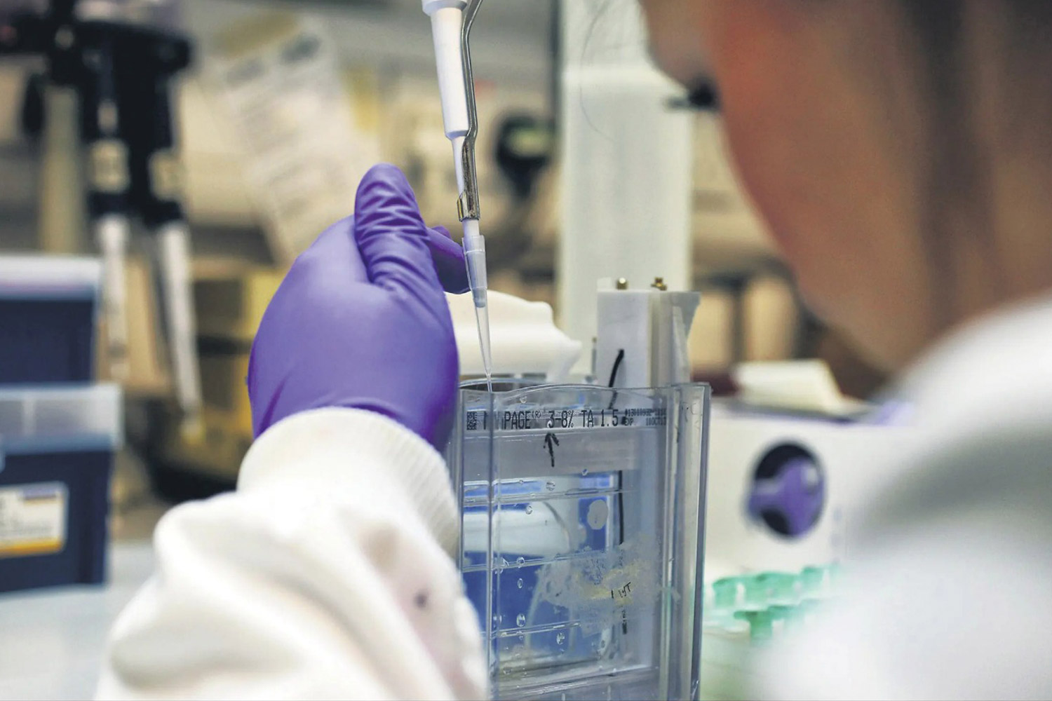 GLP-1: revista «Science» elige sorprendente medicamento contra la obesidad como el avance más importante del año…