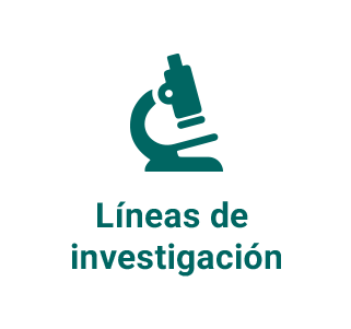 lineas