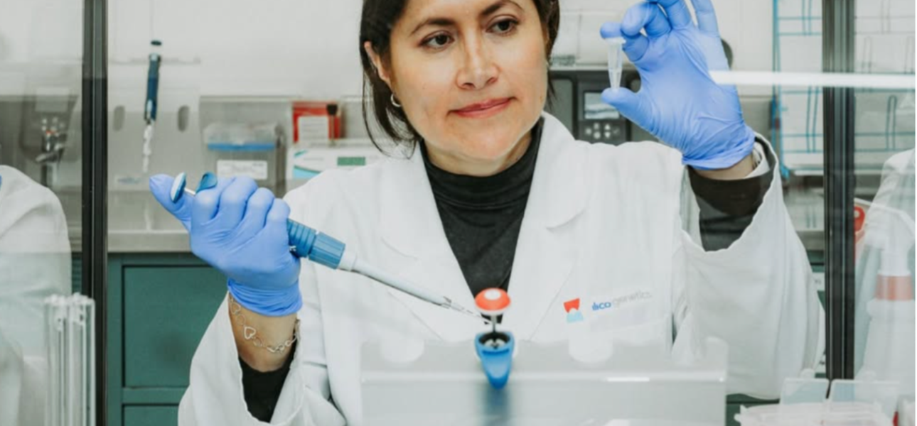 Ilico Genetics recibe financiamiento en EE.UU. para revolucionar la detección temprana del cáncer gástrico - Cáncer