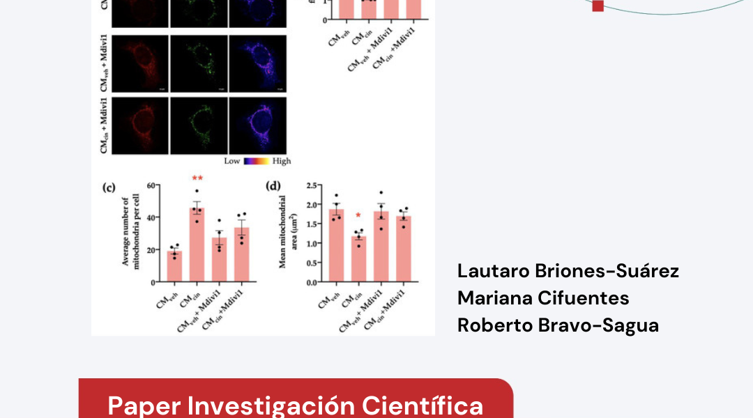 Secretory Factors from Calcium-Sensing Receptor-Activated SW872 Pre-Adipocytes Induce Cellular Senescence and A…
