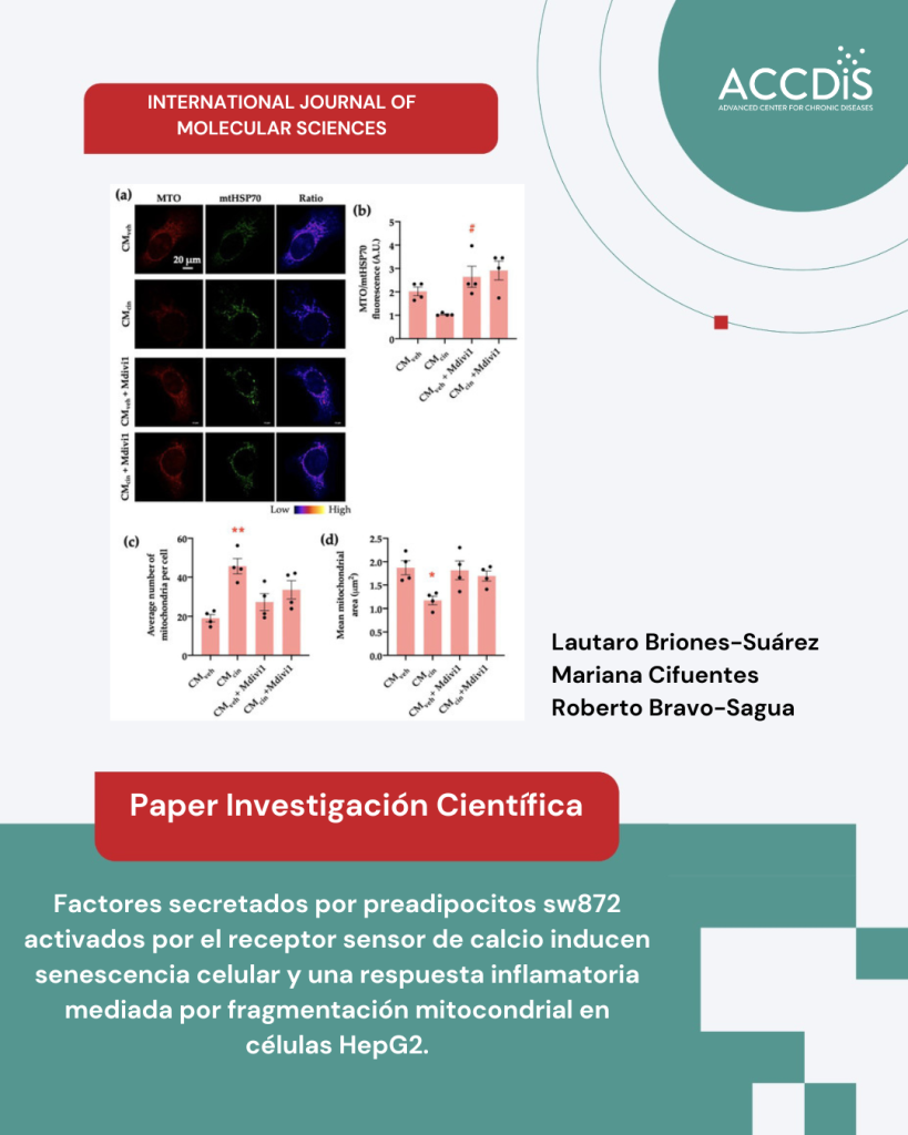 Secretory Factors from Calcium-Sensing Receptor-Activated SW872 Pre-Adipocytes Induce Cellular Senescence and A…