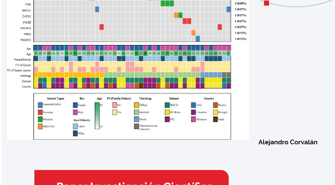 The role of multi-organ cancer predisposition genes in the risk of inherited and histologically diverse gastric cancer…