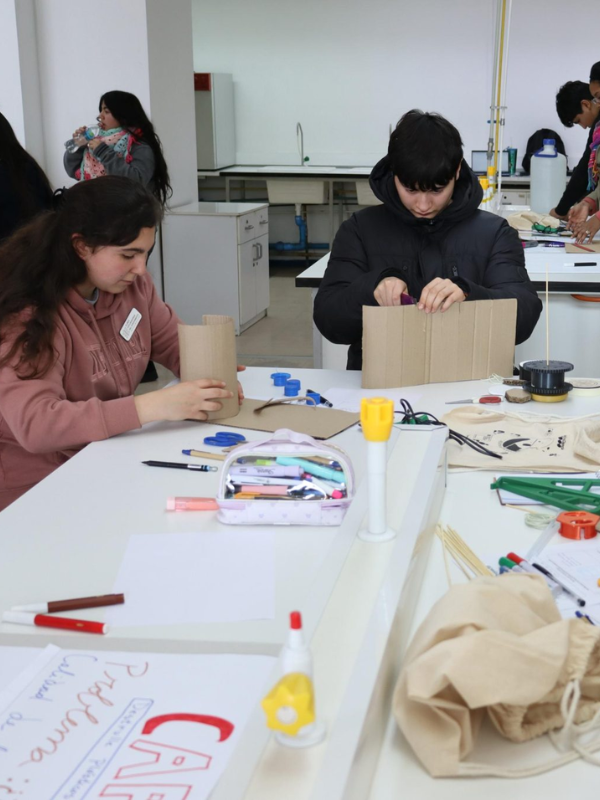 Investigación e Innovación Escolar: Ciencia escolar que se vive y se construye - Proyectos científicos