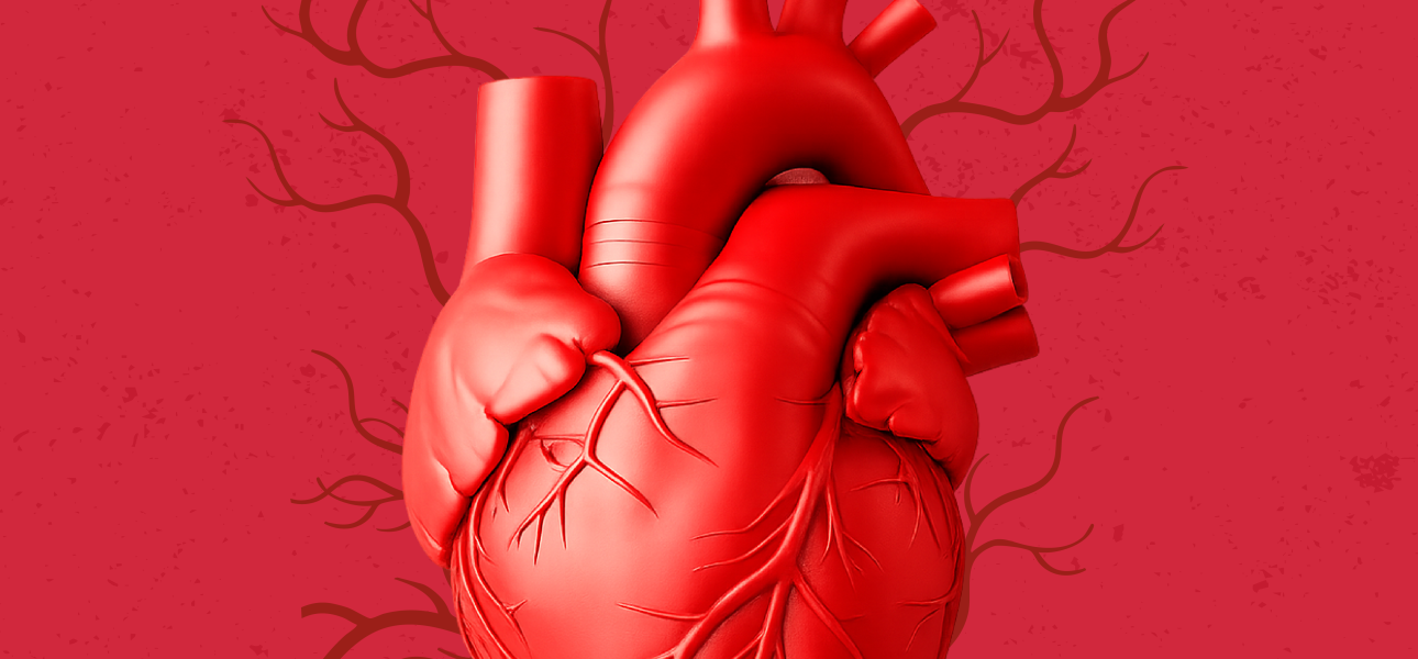 Agosto: Mes del Corazón con ciencia, prevención y divulgación - Salud pública
