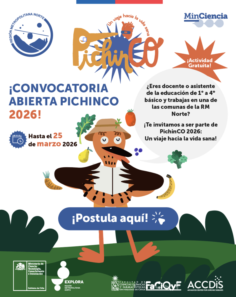 ¡Postula al Programa Educativo Regional “PichinCO 2026”! - Calidad de vida