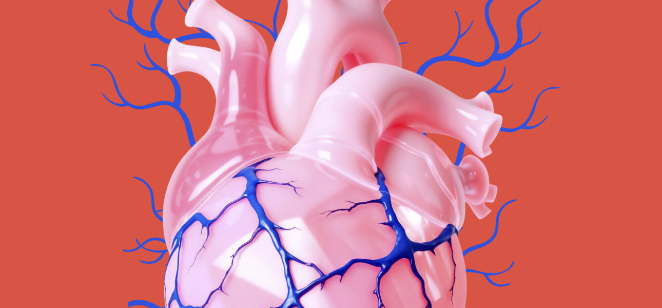 Agosto: Mes del Corazón — cuidar el corazón comienza con decisiones cotidianas - Enfermedades cardiovasculares