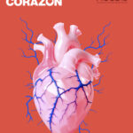 Agosto: Mes del Corazón — cuidar el corazón comienza con decisiones cotidianas - Enfermedades cardiovasculares