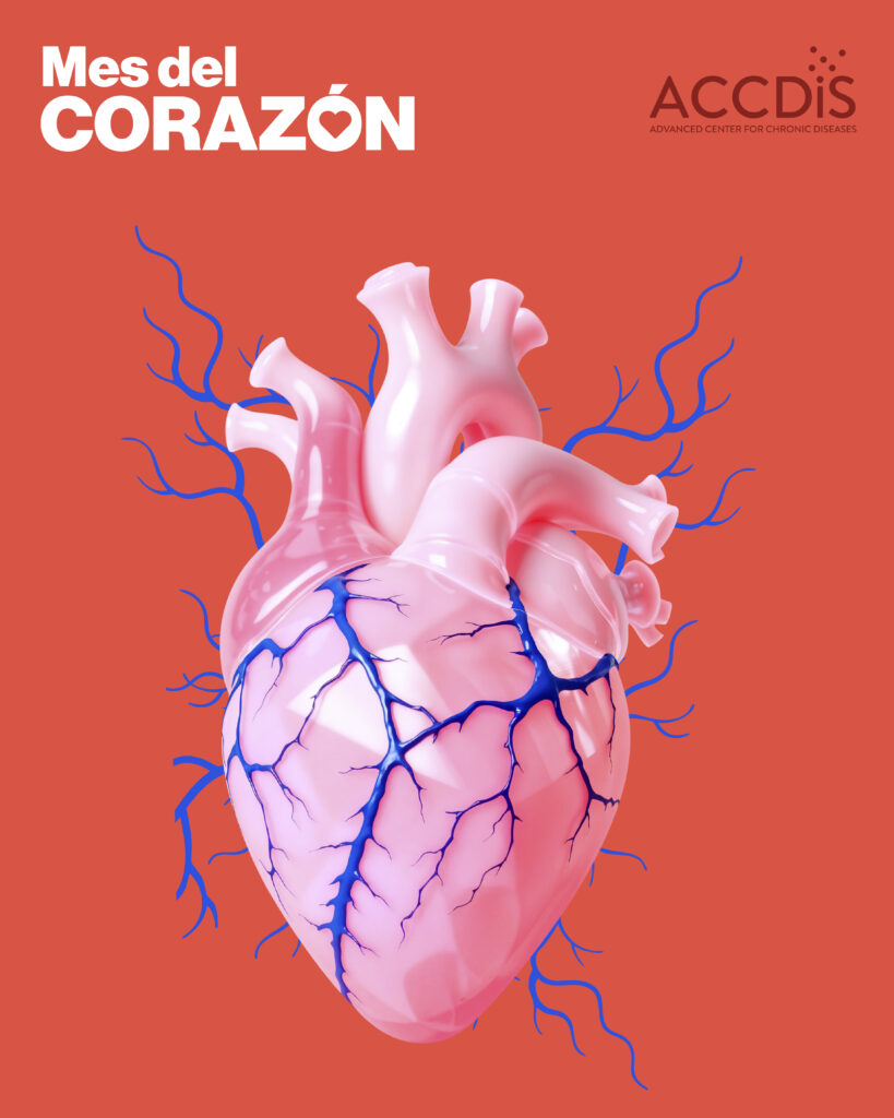 Agosto: Mes del Corazón — cuidar el corazón comienza con decisiones cotidianas - Enfermedades cardiovasculares