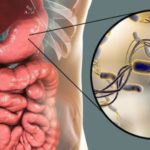 Es necesario que los científicos salgamos del laboratorio y que vayamos a los colegios - Cáncer