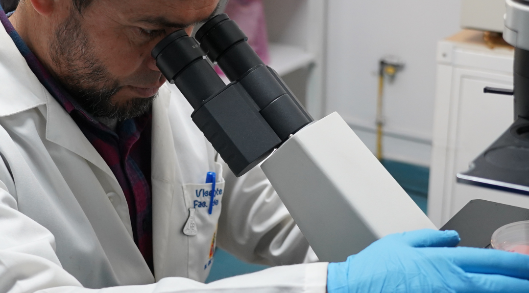 Estudiantes de Molina muestran su talento científico en nueva feria realizada en el Liceo Bicentenario - Cáncer