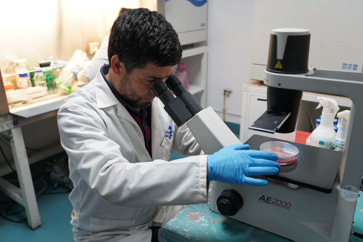 Investigación sobre Helicobacter pylori