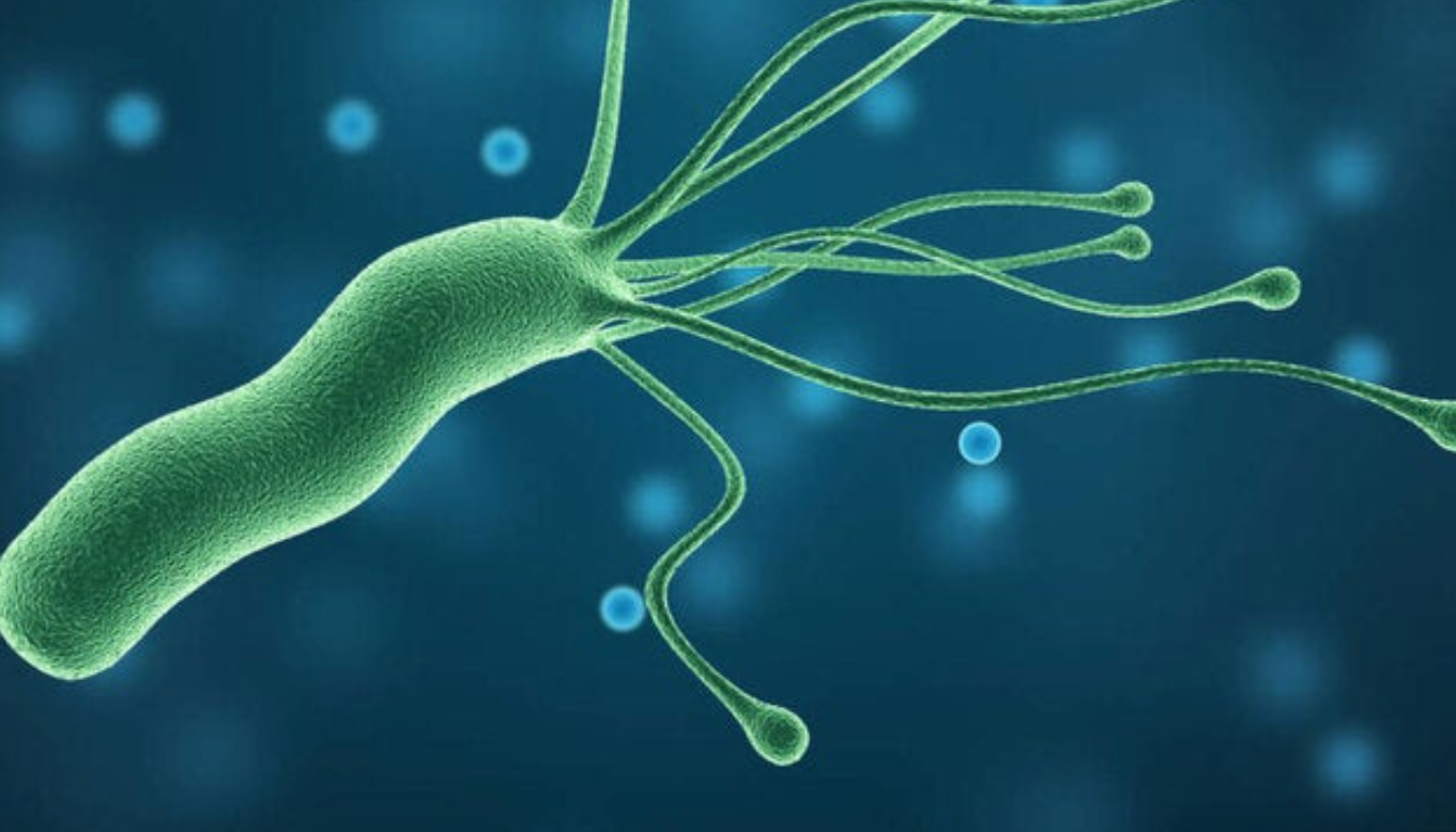 Helicobacter Pylori
